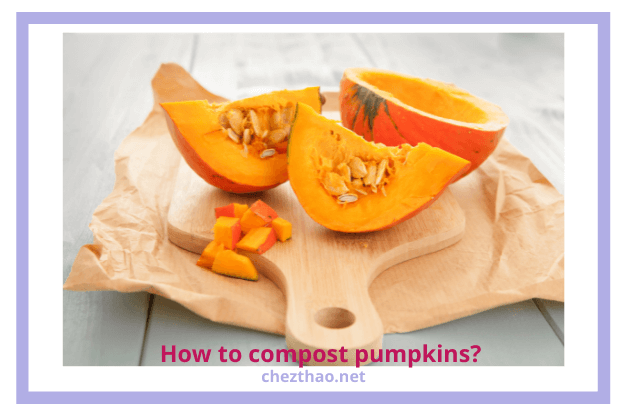 composting-pumpkins