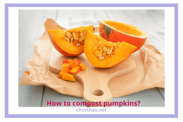 How to compost pumpkins composting-pumpkins
