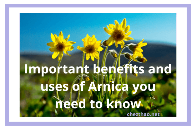 arnica